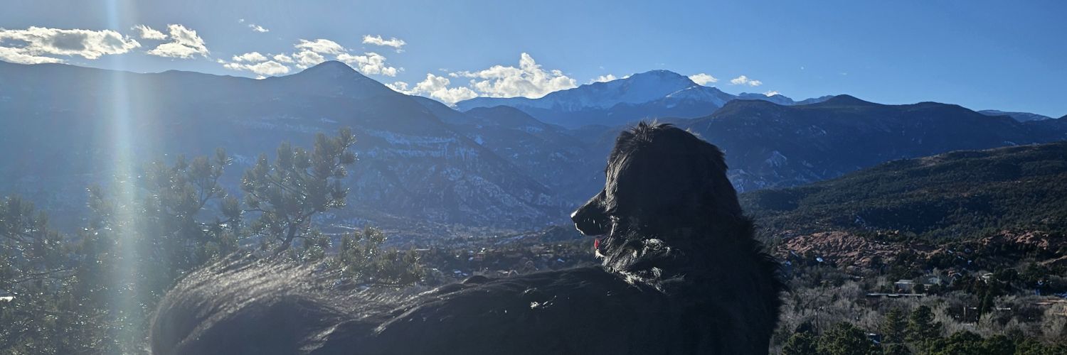 Nick_Januhowski's profile banner image