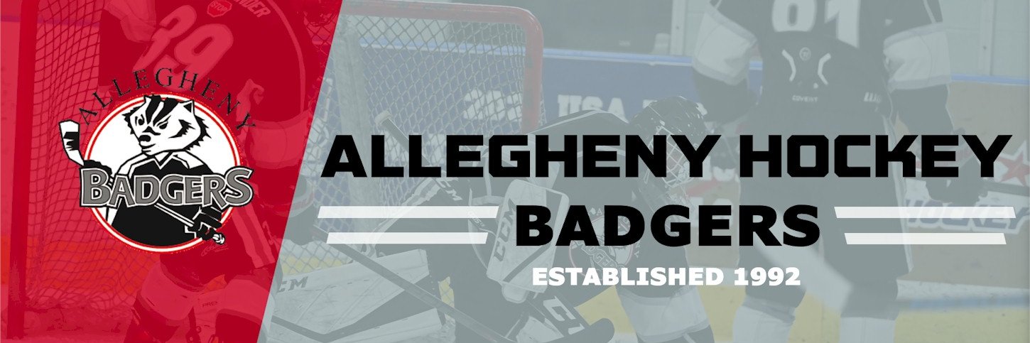 Allegheny Badgers banner
