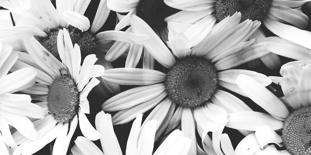 _Simoné banner
