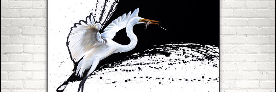 sandibakerart's profile banner image