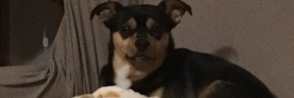 docmasse Profile Banner