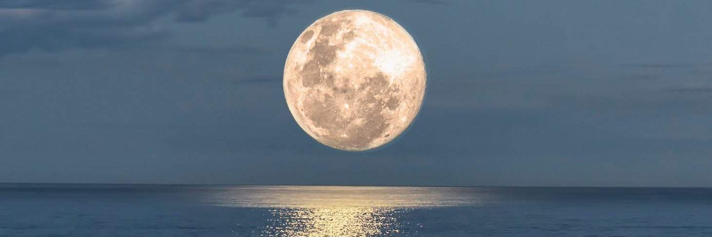 Worst Behavior banner