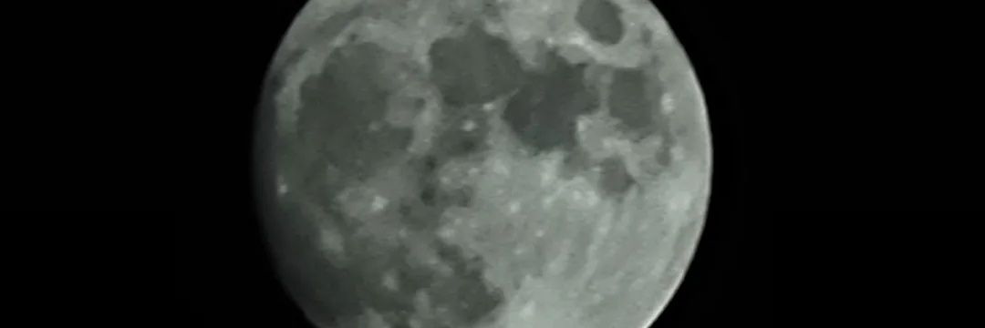 RowdyGirl's profile banner image