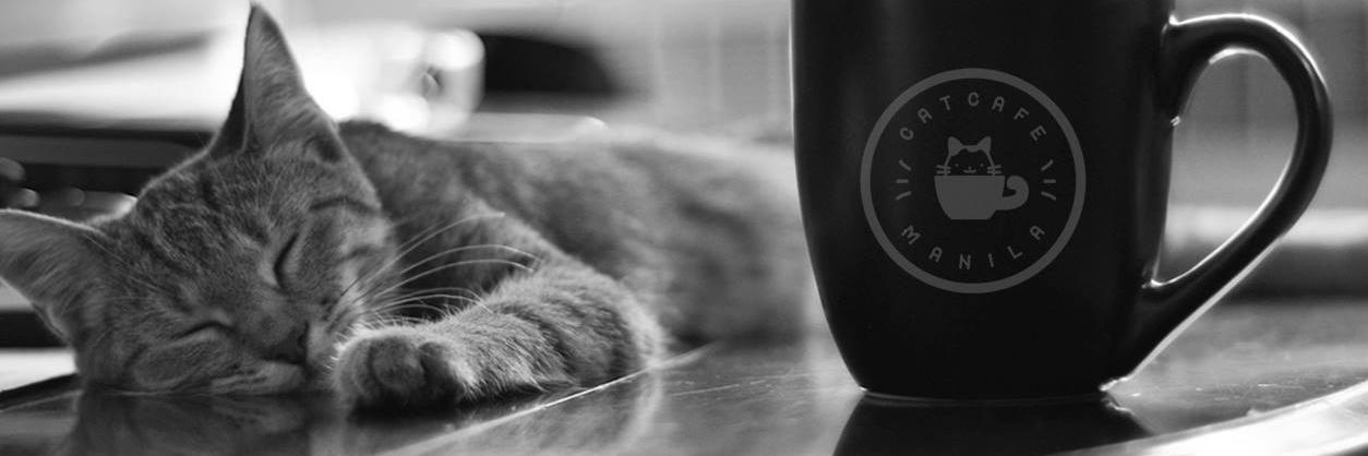 catcafemanila's profile banner image