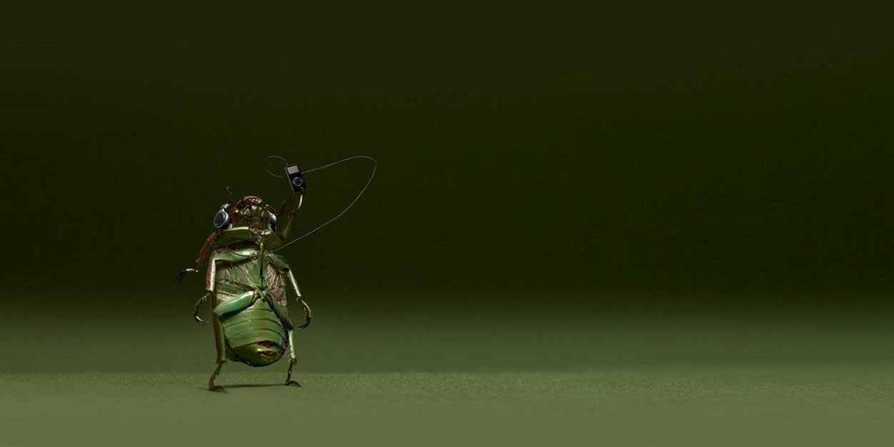 grace30393531's profile banner image
