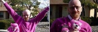 nattyhammy's profile banner image