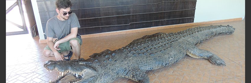 Manusuchus 𓆌's banner