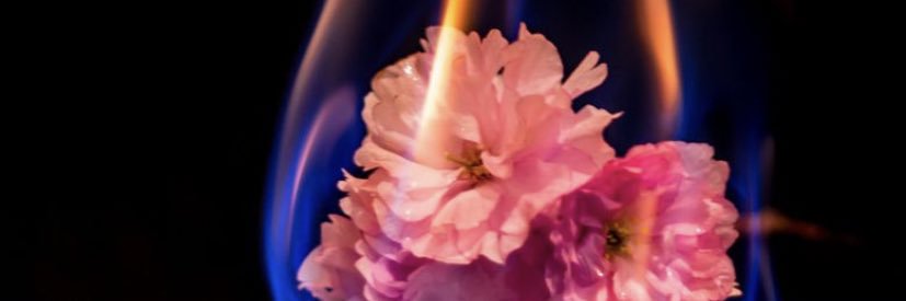 SheOso_truu's profile banner image