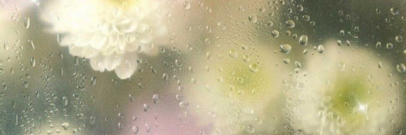 amongmyswanluvr's profile banner image