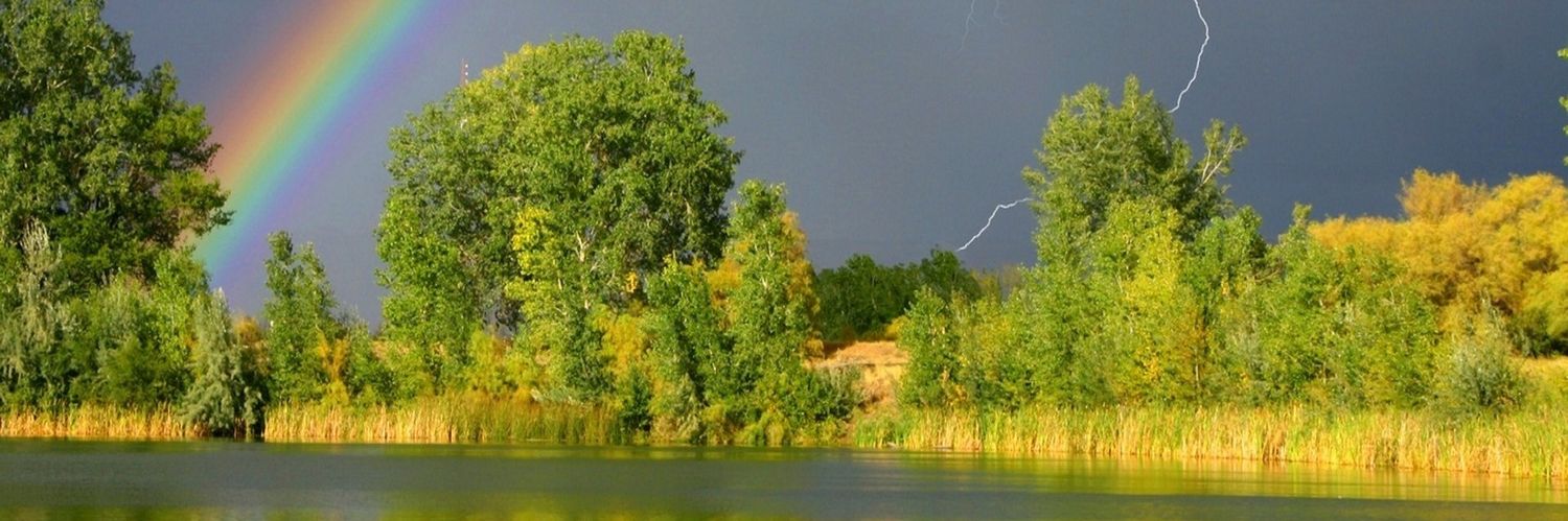 RamphoolT's profile banner image