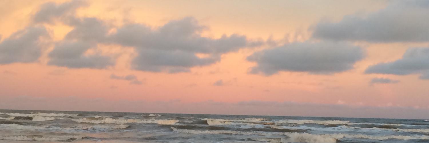 judyp_ham's profile banner image