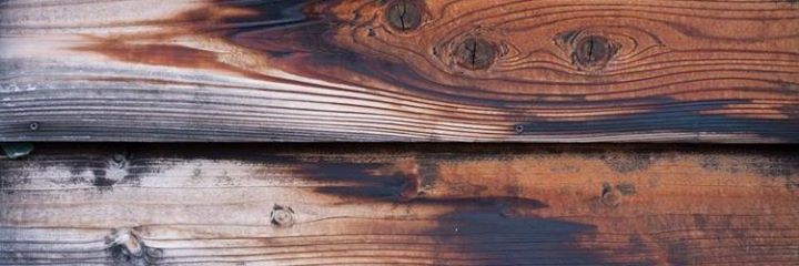 nesnahnetsua's profile banner image