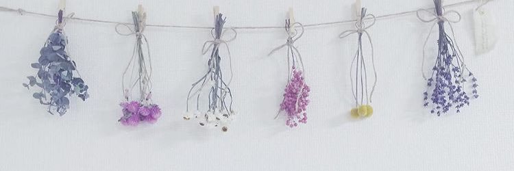 cbhsrk12's profile banner image