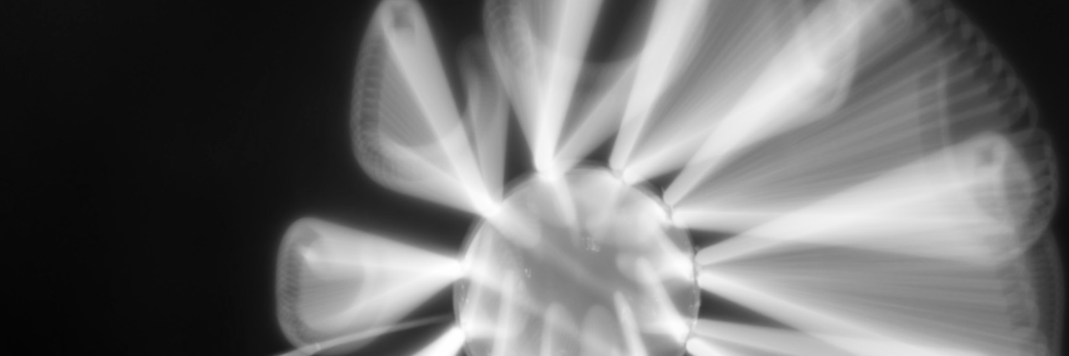 _Dennu's profile banner image