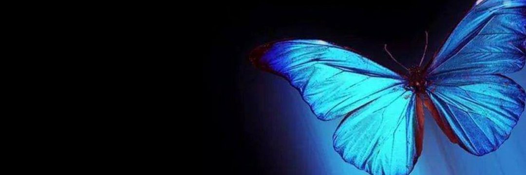 SldaBlt's profile banner image