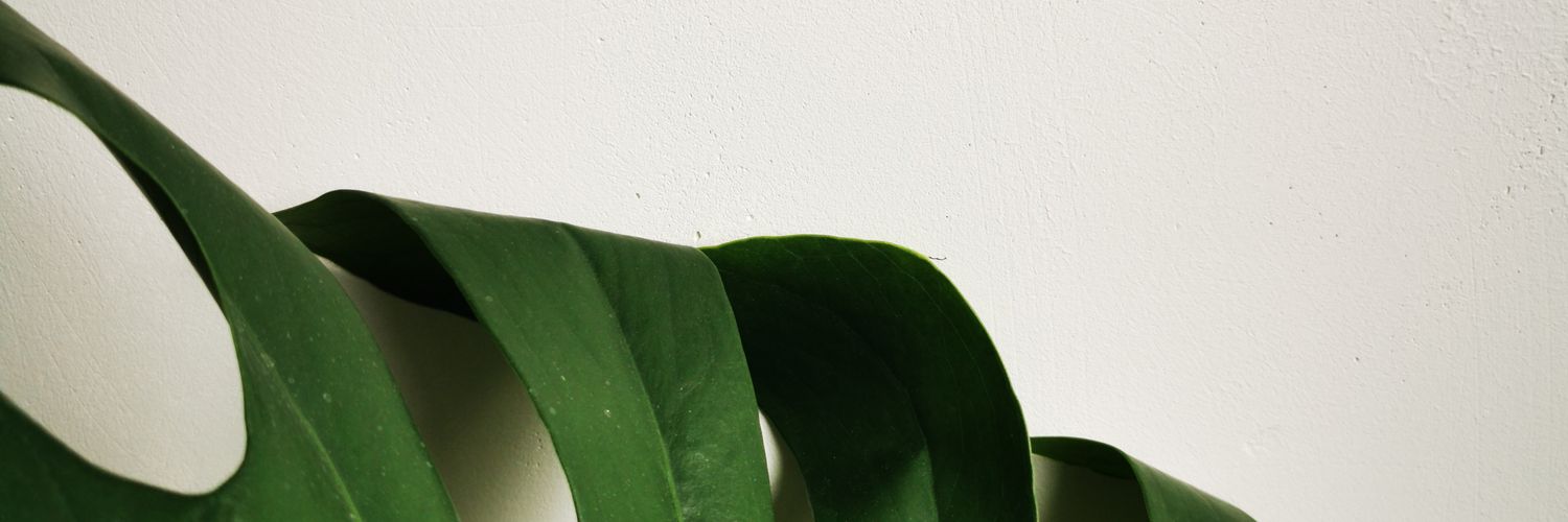 moniamo700's profile banner image