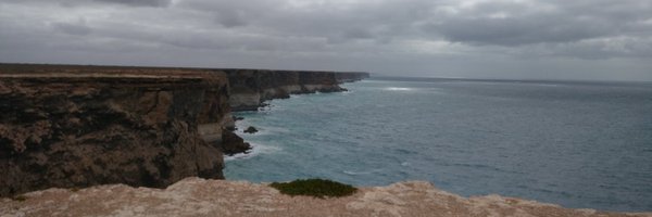 LevashovBiz Profile Banner