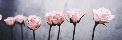 iamcawright's profile banner image