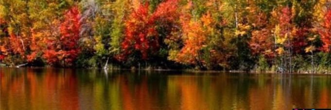 Kendra 🇺🇸🇺🇸 banner