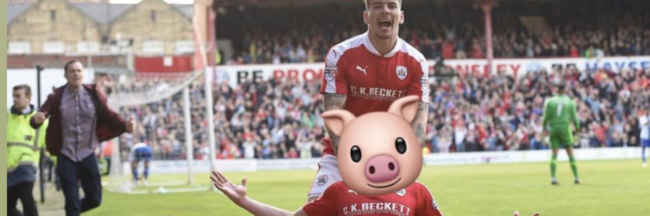 Sam Chapman banner