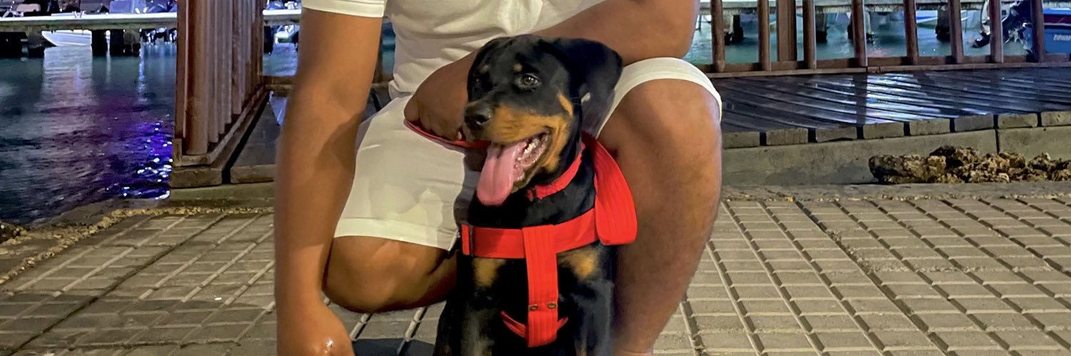 pedropuch's profile banner image