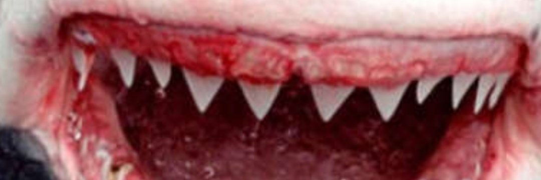 79Great's profile banner image