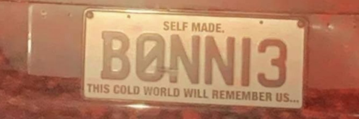 Bonnie Harrison banner