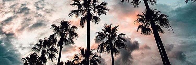 MsJahaira's profile banner image