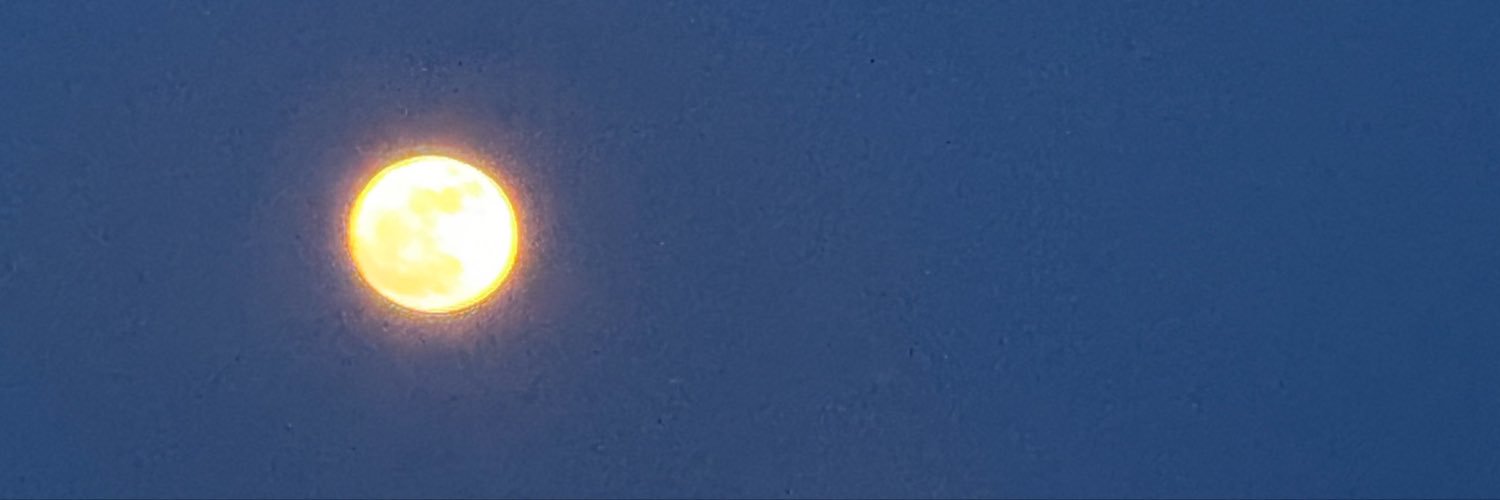 Anniebpt's profile banner image
