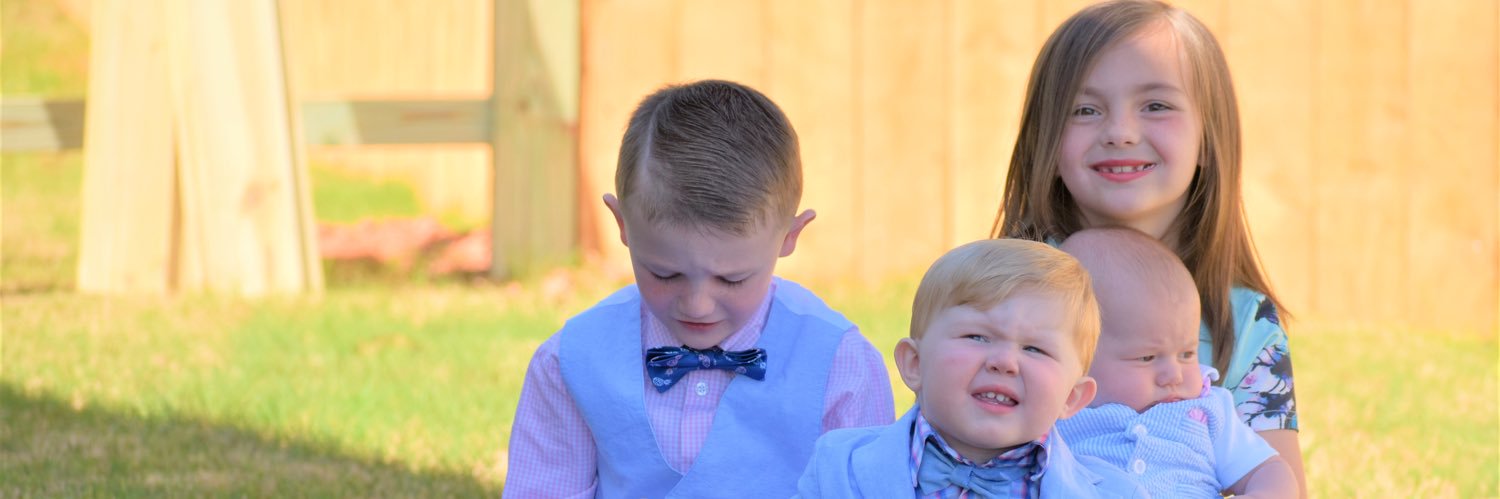 Alexander Softball banner