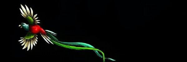 gilho11's profile banner image