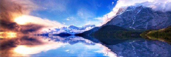 LAmidovic's profile banner image