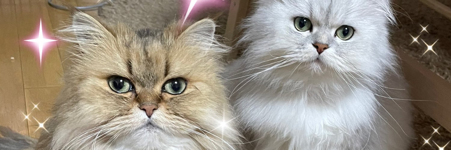 ruurei313's profile banner image