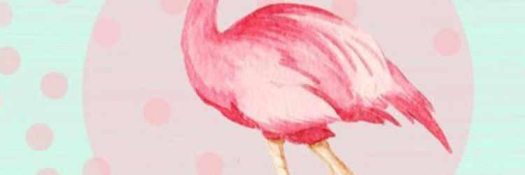 lapuceenfleur's profile banner image