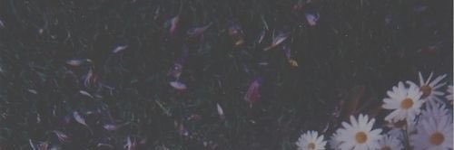 _melissajade19's profile banner image