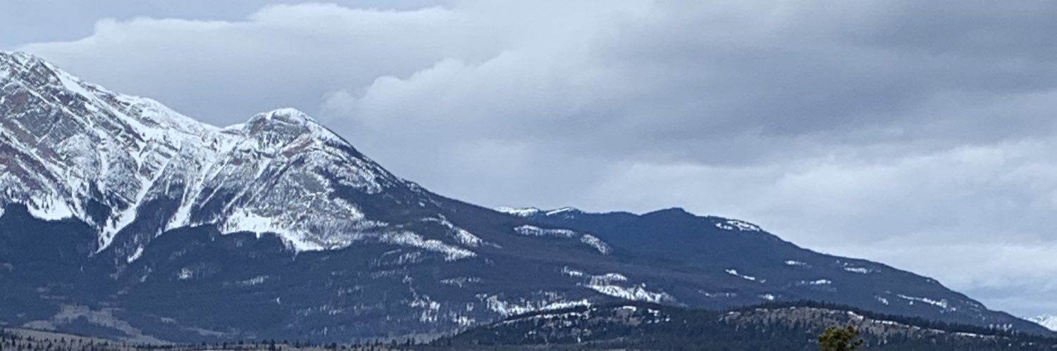 superbizzymama's profile banner image