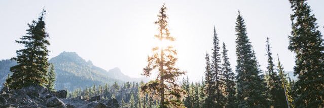 bbeccarosee's profile banner image
