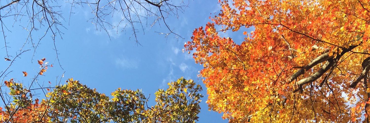 Henry Tugendhat banner