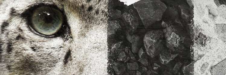 dimisroc's profile banner image