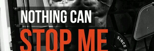 putraldino Profile Banner