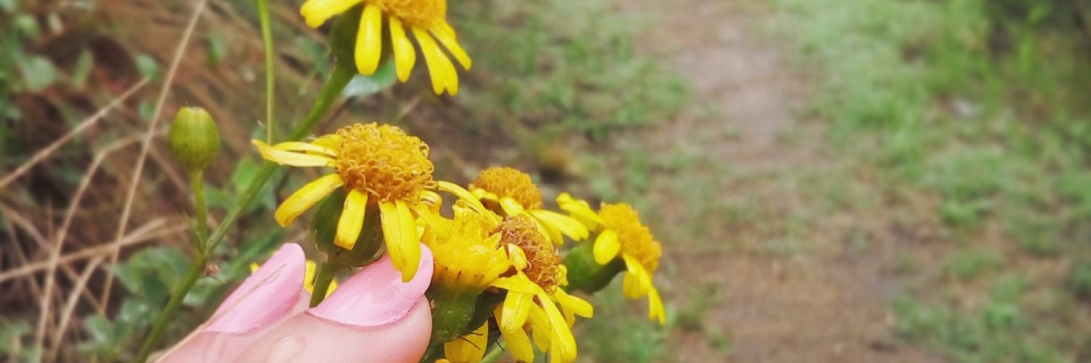 MeelContreras95's profile banner image
