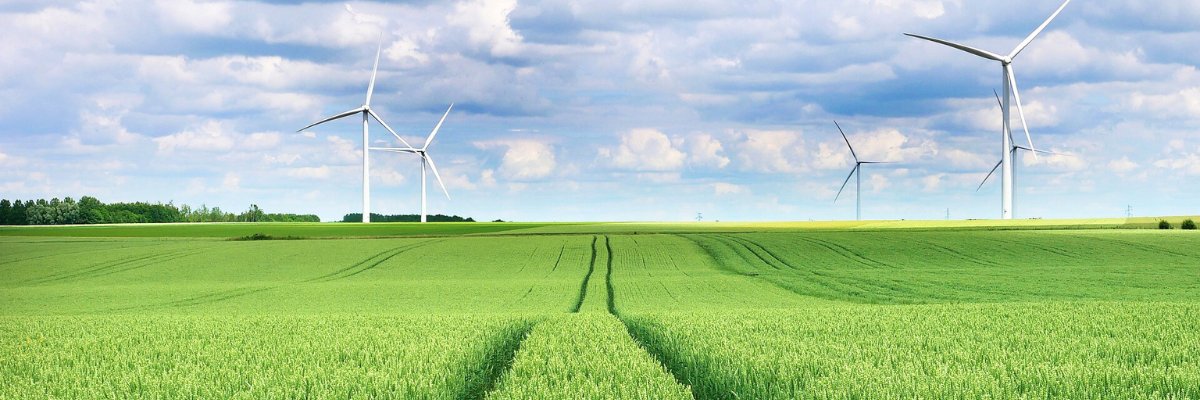 Bullfrog Power banner