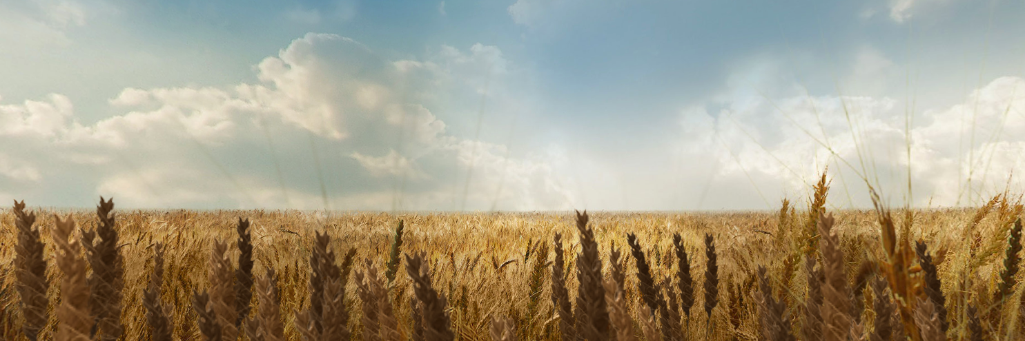 AskBuxley's profile banner image