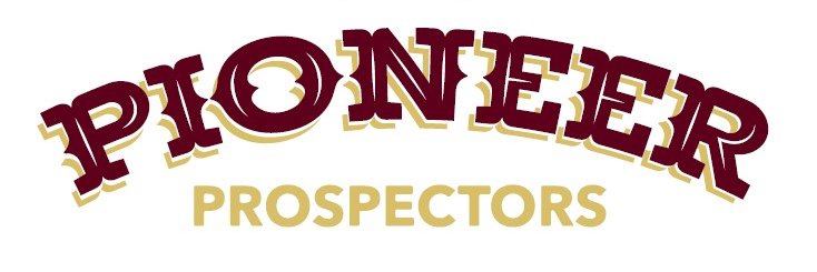 Pioneer Elementary banner