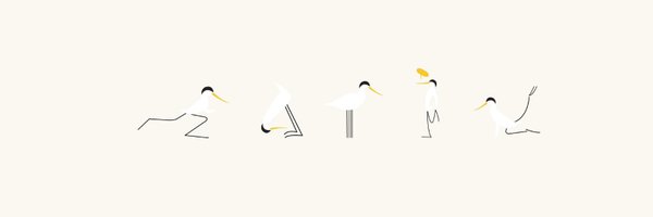 AvocetHQ Profile Banner