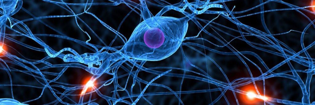 Luciano Díaz Martínez banner