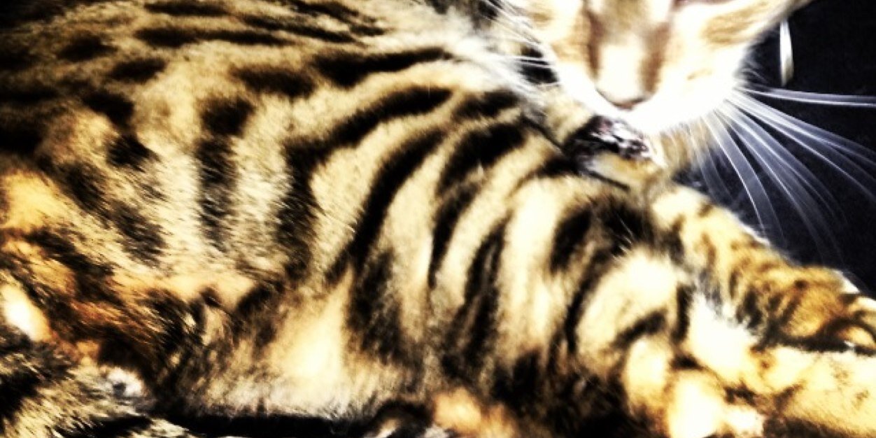 ari_nasoarce's profile banner image