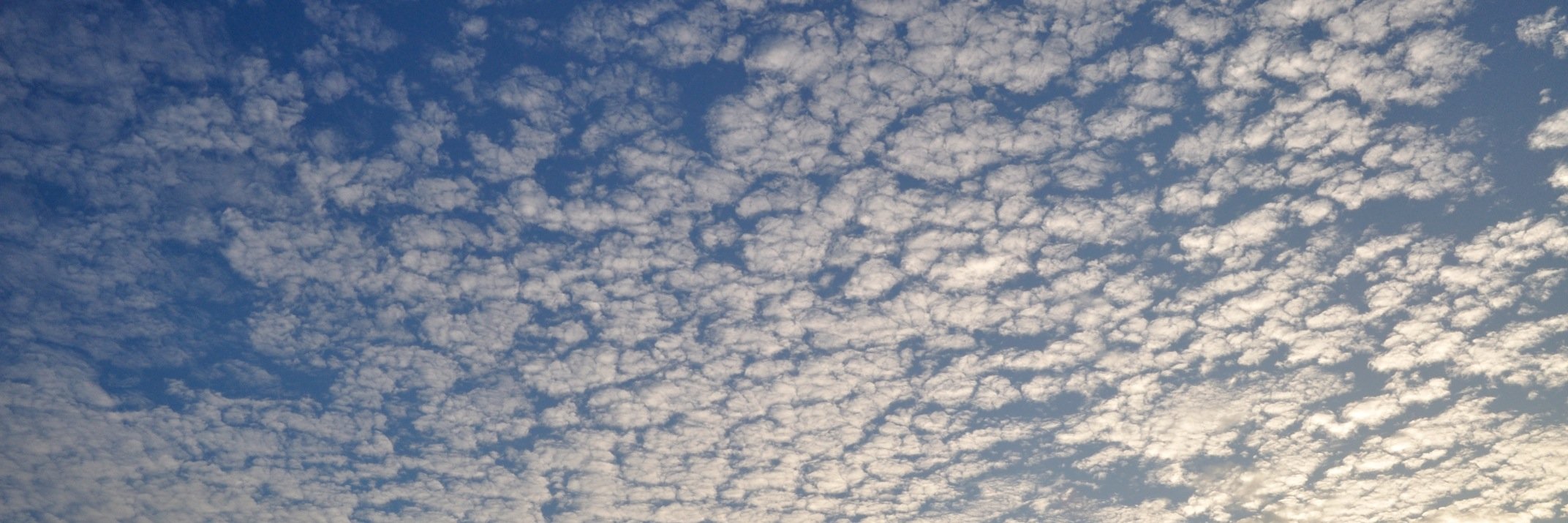 SimpleCloud_ru's profile banner image