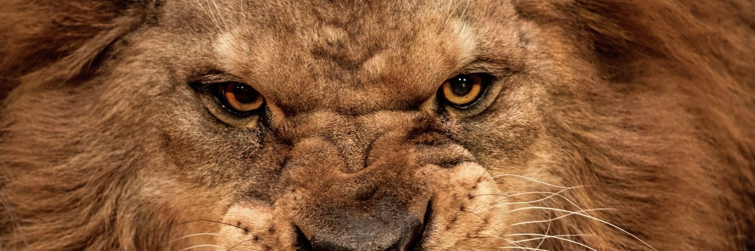 delgado_9's profile banner image