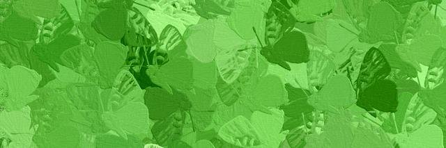 seethruthelabel's profile banner image